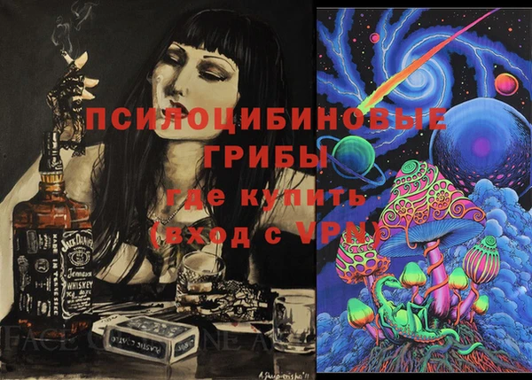 гашик Алексин