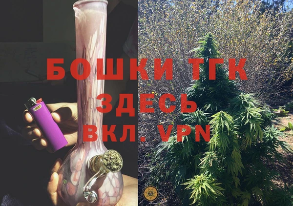 ешки Алзамай