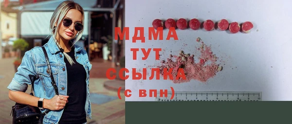 гашик Алексин