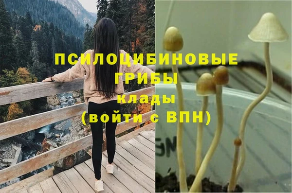 тгк Осташков