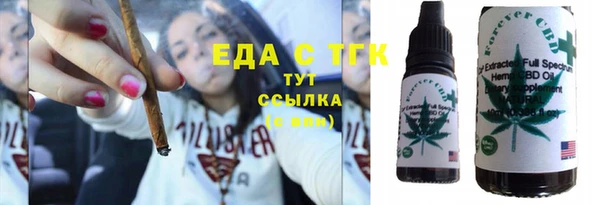 гашик Алексин
