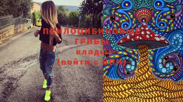 амф Абаза