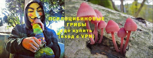 ешки Алзамай
