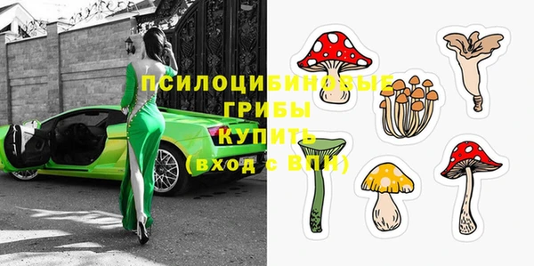 ешки Алзамай